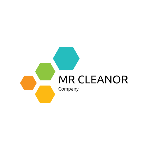 Mr Cleanor Logo